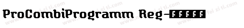ProCombiProgramm Reg字体转换